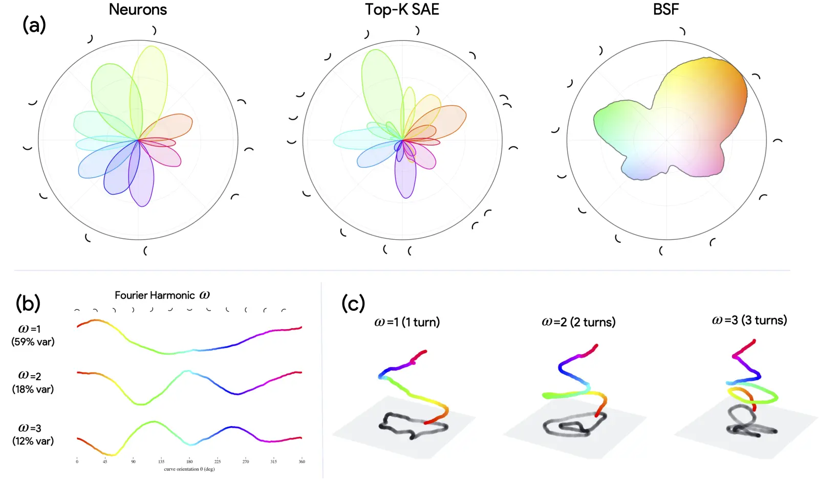 A study of InceptionV1 curve detectors using images of curves at different angles. (a) How neurons, SAE features, and blocks activate as the angle of a curve changes. (b) Different components of the block respond to the rotation of curves at different rates. (c) A visualization of how each harmonic responds to rotating curves.