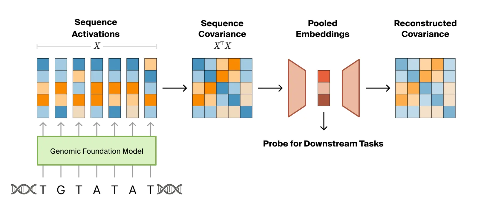 Covariance pooling pipeline diagram