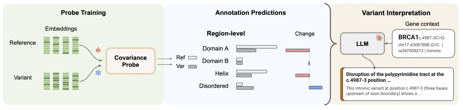 Pipeline for variant interpretation