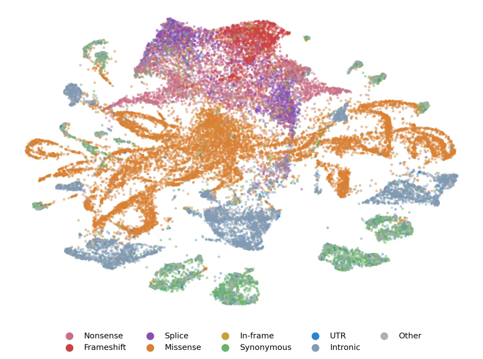 UMAP of Evo 2 variant embeddings colored by consequence type